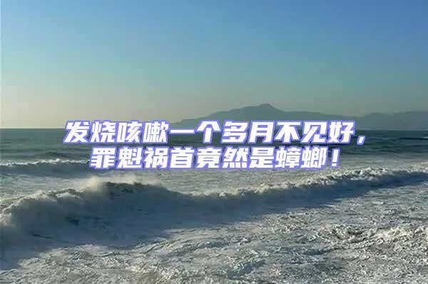 發(fā)燒咳嗽一個(gè)多月不見好,罪魁禍?zhǔn)拙谷皇求耄?/></p>
<p style=