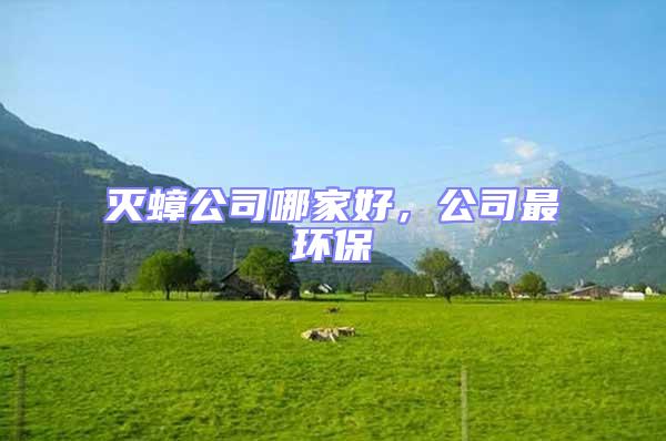 滅蟑公司哪家好,公司最環(huán)保