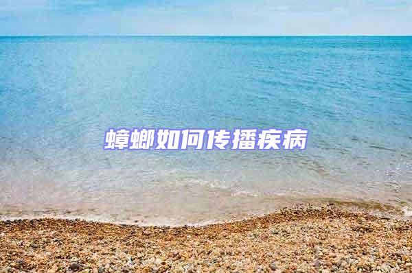 蟑螂如何傳播疾病