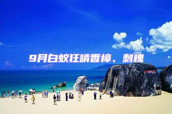 9月白蟻狂啃香樟、刺槐