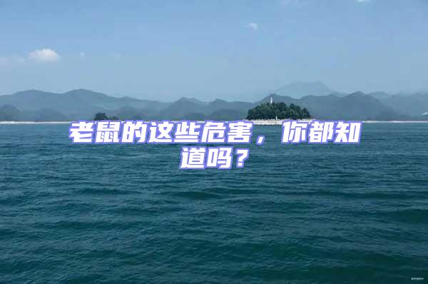 老鼠的這些危害，你都知道嗎？