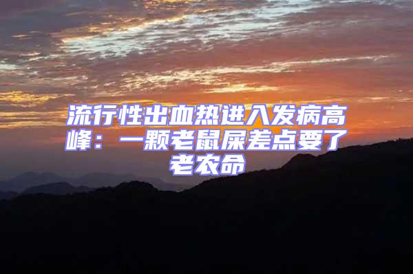 流行性出血熱進入發病高峰:一顆老鼠屎差點要了老農命