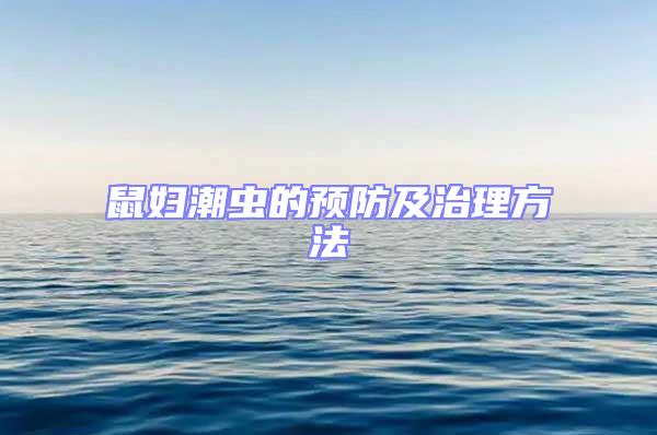 鼠婦潮蟲的預防及治理方法