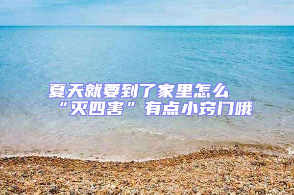 夏天就要到了家里怎么“滅四害”有點(diǎn)小竅門(mén)哦