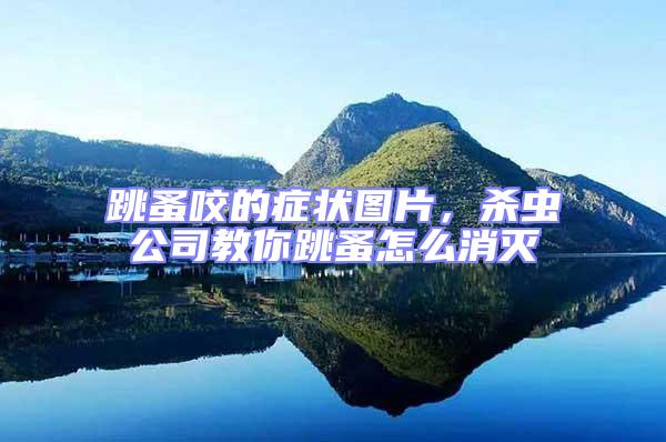 跳蚤咬的癥狀圖片,殺蟲公司教你跳蚤怎么消滅