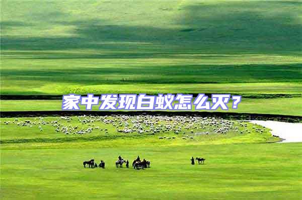 家中發現白蟻怎么滅?