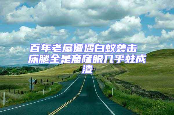 百年老屋遭遇白蟻襲擊 床腿全是窟窿眼幾乎蛀成渣