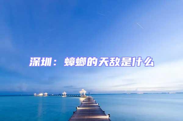 深圳:蟑螂的天敵是什么