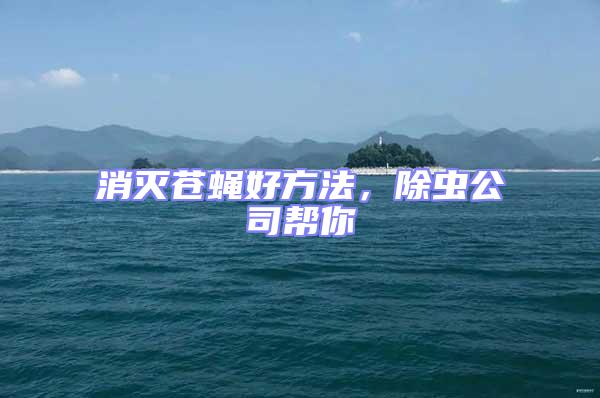 消滅蒼蠅好方法，除蟲公司幫你