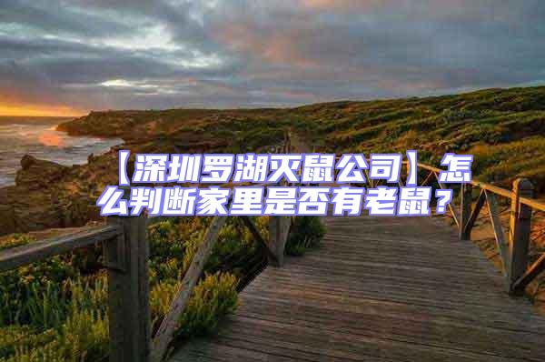 【深圳羅湖滅鼠公司】怎么判斷家里是否有老鼠?