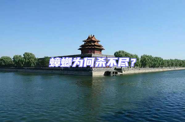 蟑螂為何殺不盡?