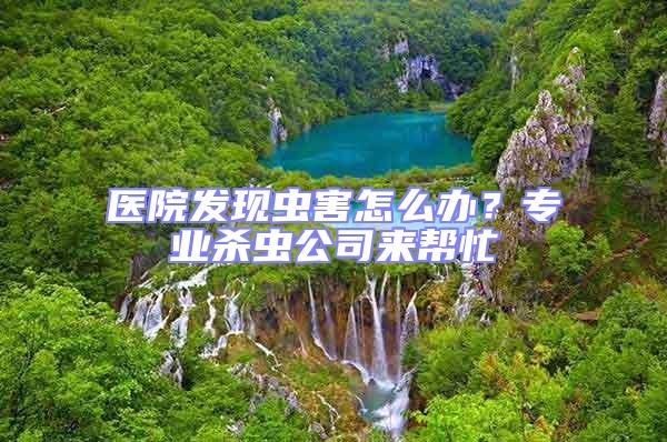 醫院發現蟲害怎么辦？專業殺蟲公司來幫忙