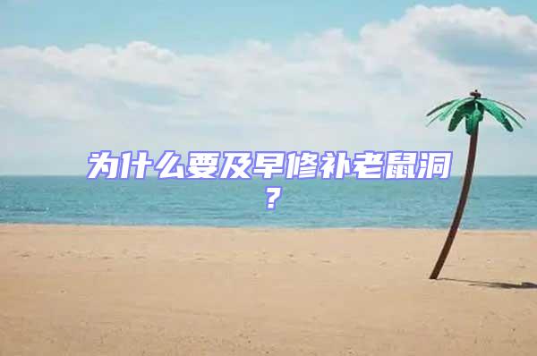 為什么要及早修補(bǔ)老鼠洞？