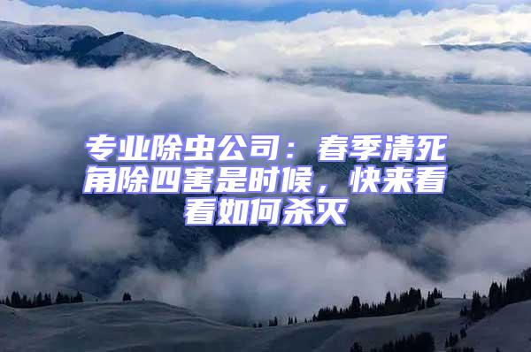 專業除蟲公司:春季清死角除四害是時候,快來看看如何殺滅