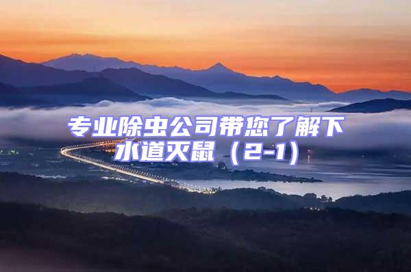 專業除蟲公司帶您了解下水道滅鼠(2-1)