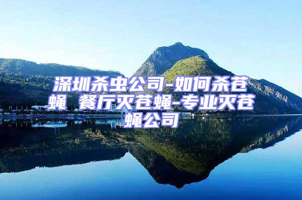 深圳殺蟲公司-如何殺蒼蠅 餐廳滅蒼蠅-專業(yè)滅蒼蠅公司