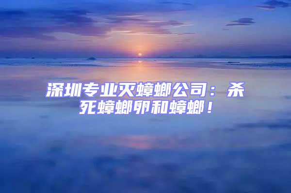深圳專業(yè)滅蟑螂公司:殺死蟑螂卵和蟑螂!