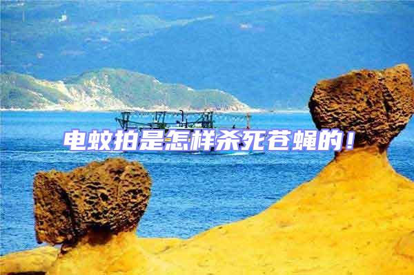 電蚊拍是怎樣殺死蒼蠅的!