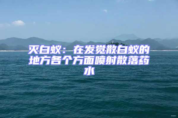滅白蟻:在發(fā)覺散白蟻的地方各個(gè)方面噴射散落藥水