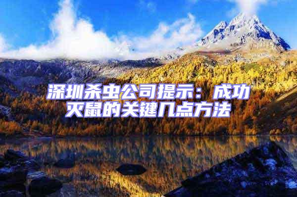 深圳殺蟲公司提示:成功滅鼠的關(guān)鍵幾點方法