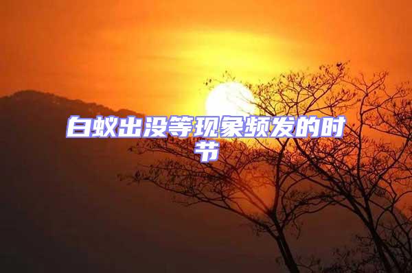 白蟻出沒等現象頻發的時節