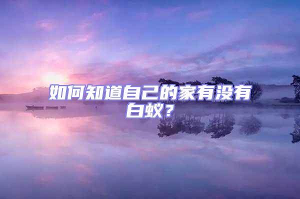 如何知道自己的家有沒有白蟻？