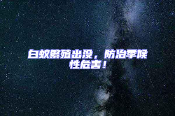 白蟻繁殖出沒,防治季候性危害!