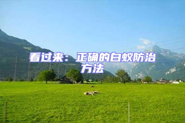 看過來:正確的白蟻防治方法