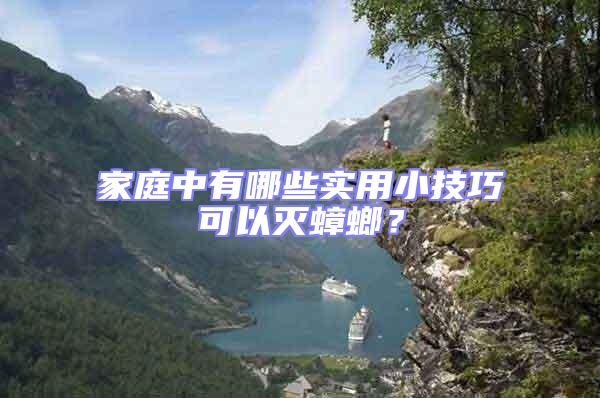 家庭中有哪些實用小技巧可以滅蟑螂?