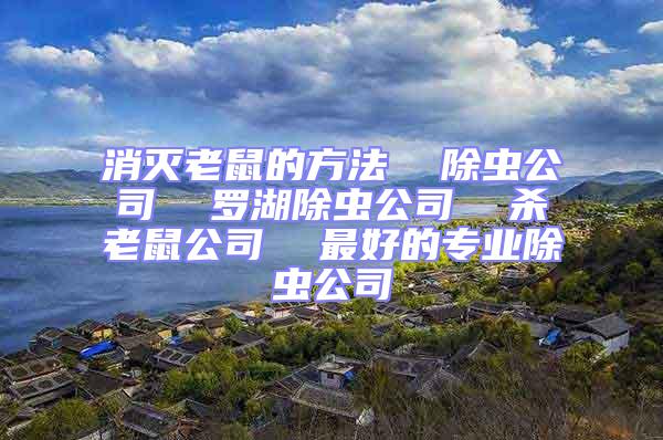 消滅老鼠的方法 除蟲公司 羅湖除蟲公司 殺老鼠公司 最好的專業除蟲公司
