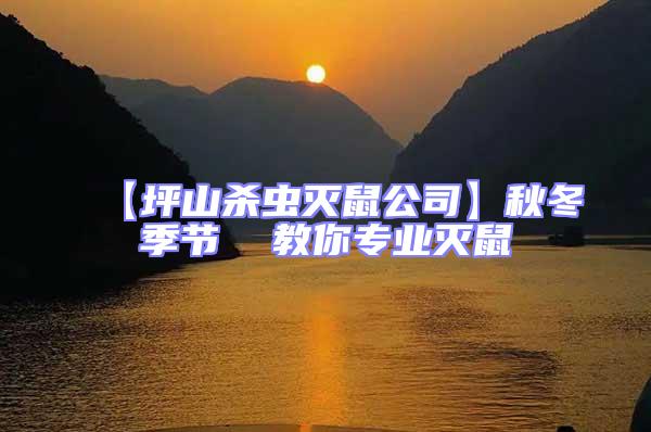 【坪山殺蟲滅鼠公司】秋冬季節 教你專業滅鼠