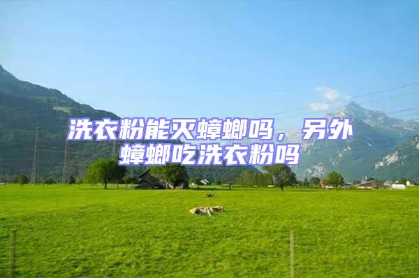 洗衣粉能滅蟑螂嗎,另外蟑螂吃洗衣粉嗎