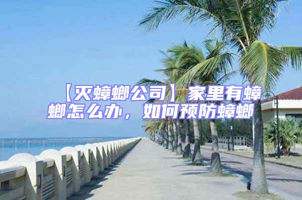 【滅蟑螂公司】家里有蟑螂怎么辦，如何預(yù)防蟑螂