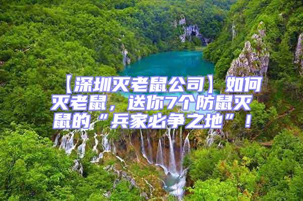 【深圳滅老鼠公司】如何滅老鼠,送你7個防鼠滅鼠的“兵家必爭之地”!