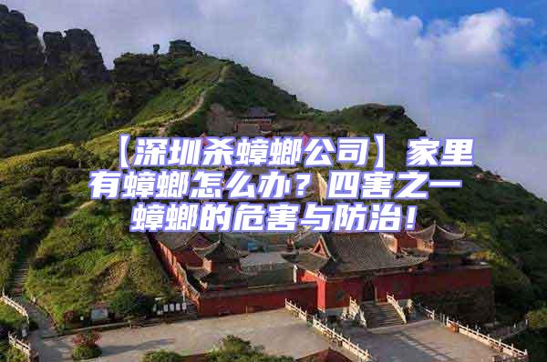 【深圳殺蟑螂公司】家里有蟑螂怎么辦?四害之一蟑螂的危害與防治!