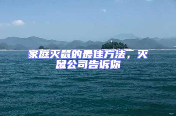 家庭滅鼠的最佳方法，滅鼠公司告訴你