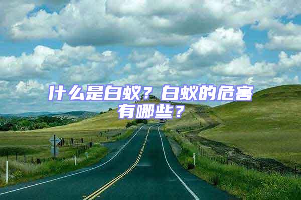 什么是白蟻？白蟻的危害有哪些？