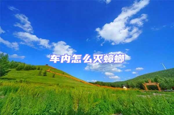 車內怎么滅蟑螂