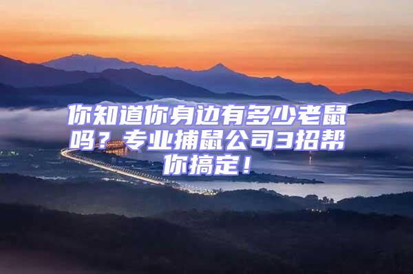 你知道你身邊有多少老鼠嗎?專業(yè)捕鼠公司3招幫你搞定!
