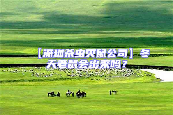 【深圳殺蟲滅鼠公司】冬天老鼠會(huì)出來嗎?