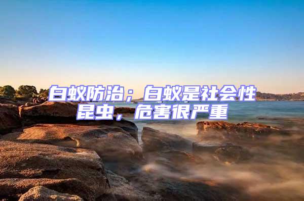 白蟻防治;白蟻是社會(huì)性昆蟲,危害很嚴(yán)重