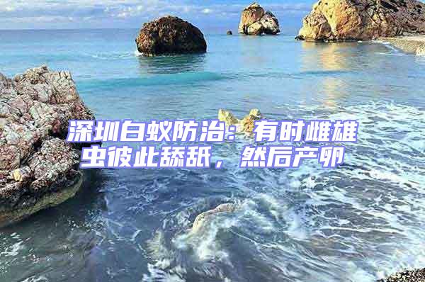 深圳白蟻防治：有時雌雄蟲彼此舔舐，然后產卵