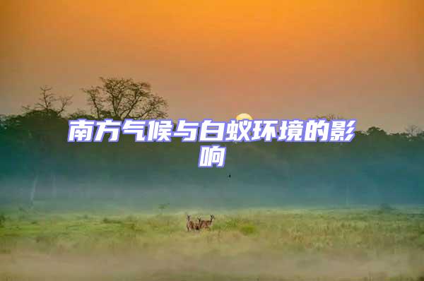 南方氣候與白蟻環境的影響