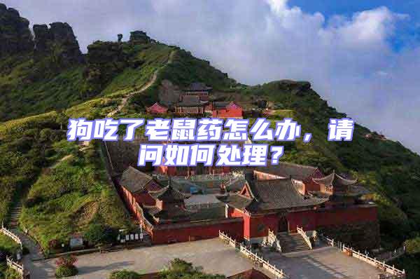 狗吃了老鼠藥怎么辦，請問如何處理？