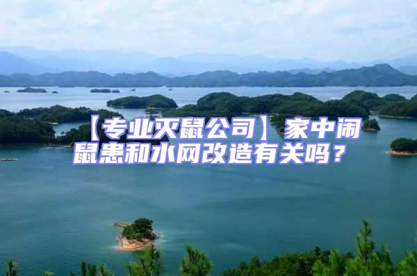 【專業(yè)滅鼠公司】家中鬧鼠患和水網(wǎng)改造有關(guān)嗎?