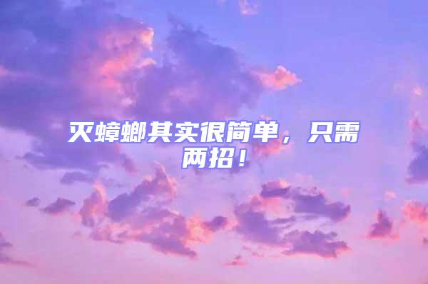 滅蟑螂其實很簡單，只需兩招！