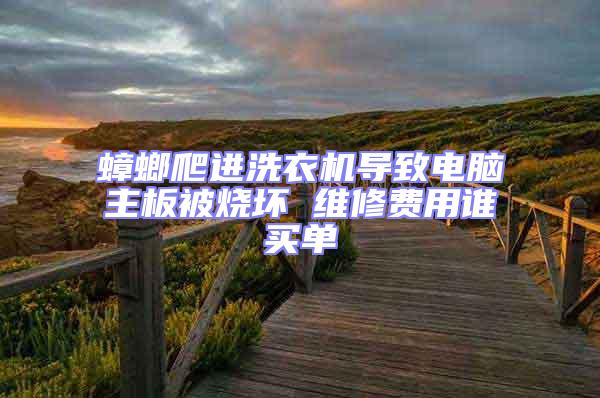 蟑螂爬進洗衣機導致電腦主板被燒壞 維修費用誰買單