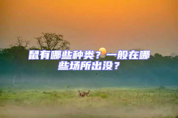 鼠有哪些種類?一般在哪些場所出沒?