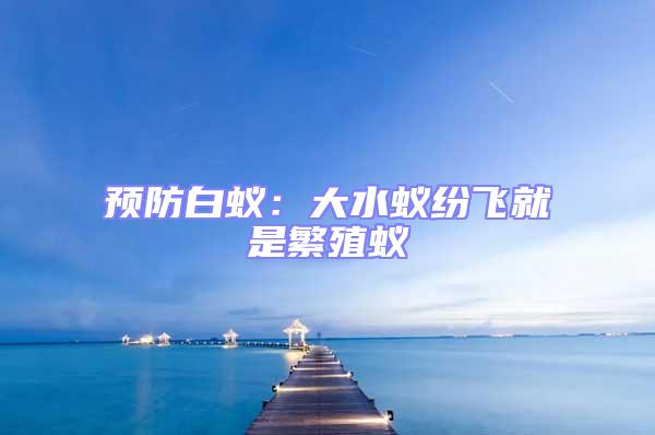 預防白蟻:大水蟻紛飛就是繁殖蟻