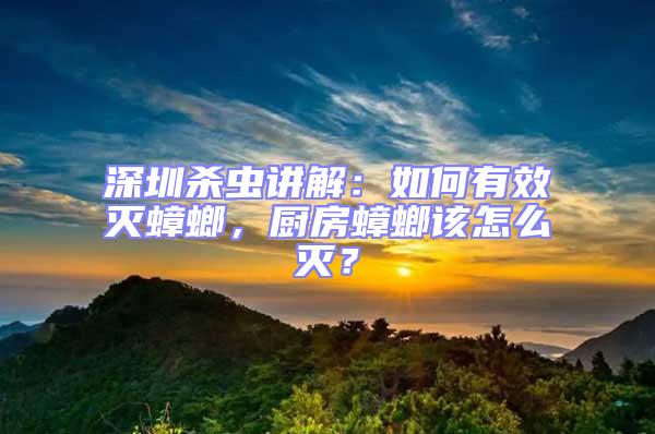 深圳殺蟲講解:如何有效滅蟑螂,廚房蟑螂該怎么滅?